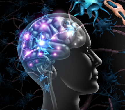 Illustration of a human brain with neural activity highlighted in blue and pink, surrounded by neural network graphics.